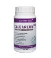 Calcareum - Alga Calcaroasa - Site oficial Dr Catalin Luca