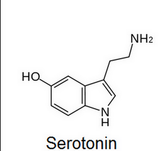Deficienta de serotonina